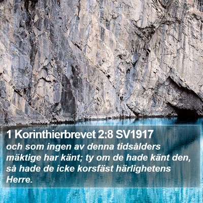 1 Korinthierbrevet 2:8 SV1917 Bible Verse Image