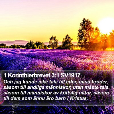 1 Korinthierbrevet 3:1 SV1917 Bible Verse Image