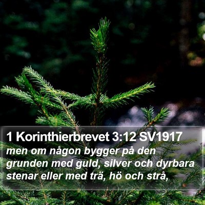 1 Korinthierbrevet 3:12 SV1917 Bible Verse Image