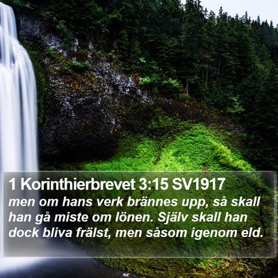 1 Korinthierbrevet 3:15 SV1917 Bible Verse Image