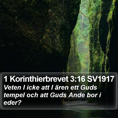1 Korinthierbrevet 3:16 SV1917 Bible Verse Image