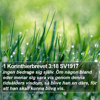 1 Korinthierbrevet 3:18 SV1917 Bible Verse Image