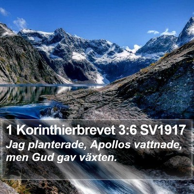 1 Korinthierbrevet 3:6 SV1917 Bible Verse Image