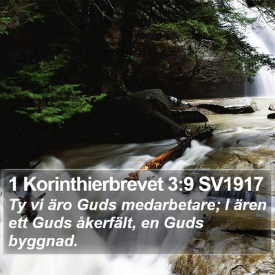 1 Korinthierbrevet 3:9 SV1917 Bible Verse Image