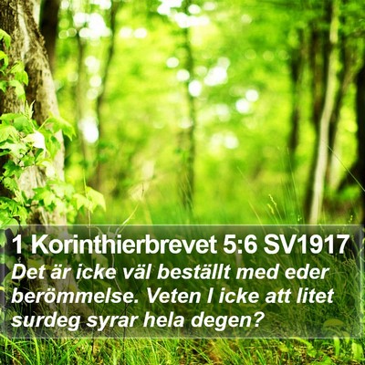 1 Korinthierbrevet 5:6 SV1917 Bible Verse Image