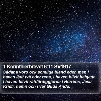 1 Korinthierbrevet 6:11 SV1917 Bible Verse Image