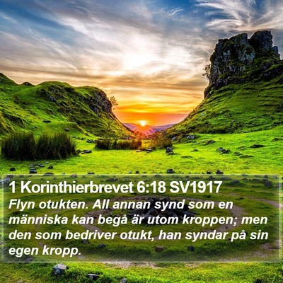 1 Korinthierbrevet 6:18 SV1917 Bible Verse Image