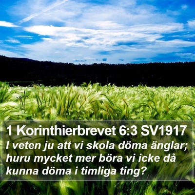 1 Korinthierbrevet 6:3 SV1917 Bible Verse Image