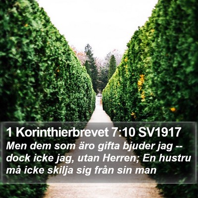 1 Korinthierbrevet 7:10 SV1917 Bible Verse Image
