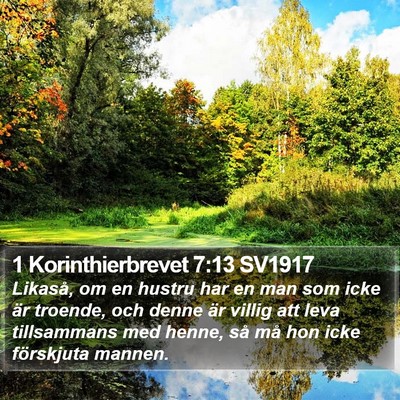 1 Korinthierbrevet 7:13 SV1917 Bible Verse Image