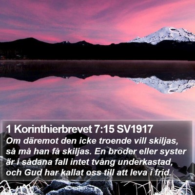1 Korinthierbrevet 7:15 SV1917 Bible Verse Image