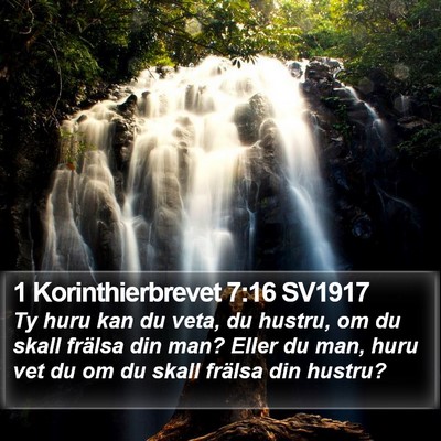 1 Korinthierbrevet 7:16 SV1917 Bible Verse Image