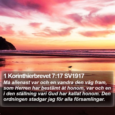 1 Korinthierbrevet 7:17 SV1917 Bible Verse Image