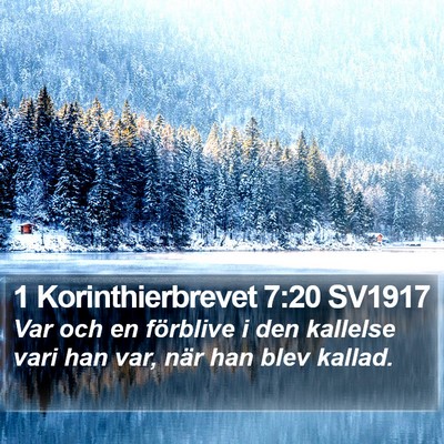 1 Korinthierbrevet 7:20 SV1917 Bible Verse Image