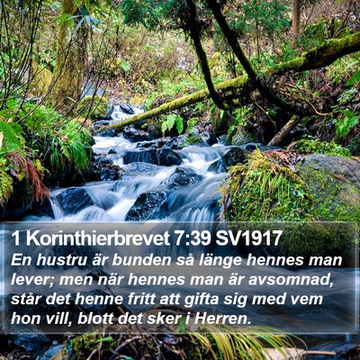 1 Korinthierbrevet 7:39 SV1917 Bible Verse Image