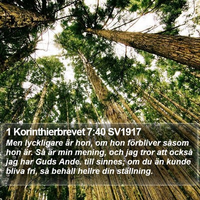 1 Korinthierbrevet 7:40 SV1917 Bible Verse Image