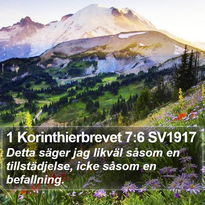 1 Korinthierbrevet 7:6 SV1917 Bible Verse Image