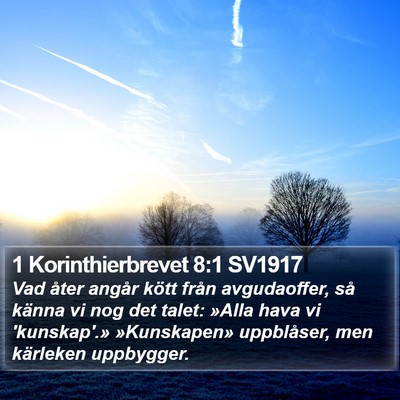 1 Korinthierbrevet 8:1 SV1917 Bible Verse Image