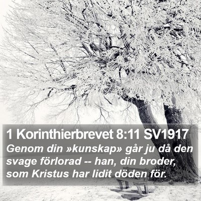 1 Korinthierbrevet 8:11 SV1917 Bible Verse Image