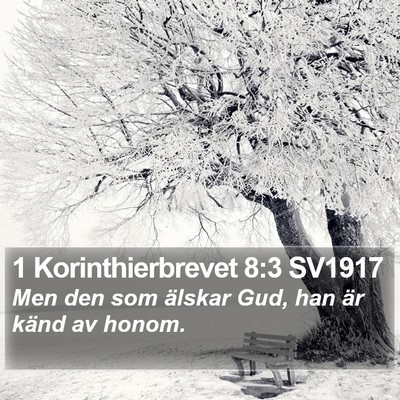 1 Korinthierbrevet 8:3 SV1917 Bible Verse Image