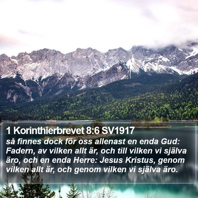 1 Korinthierbrevet 8:6 SV1917 Bible Verse Image