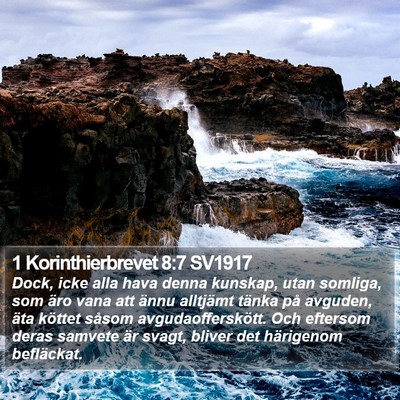 1 Korinthierbrevet 8:7 SV1917 Bible Verse Image