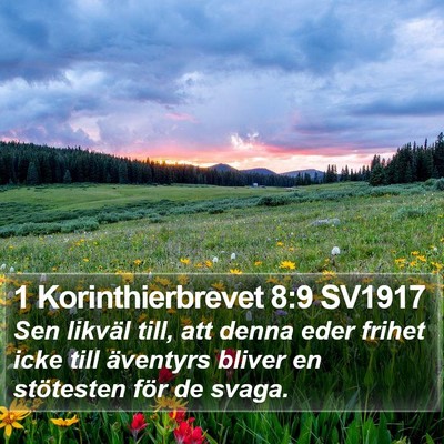 1 Korinthierbrevet 8:9 SV1917 Bible Verse Image