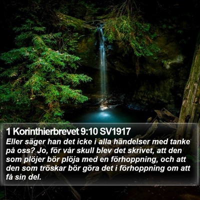 1 Korinthierbrevet 9:10 SV1917 Bible Verse Image