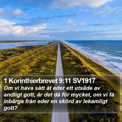 1 Korinthierbrevet 9:11 SV1917 Bible Verse Image
