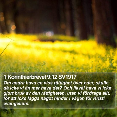1 Korinthierbrevet 9:12 SV1917 Bible Verse Image