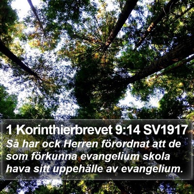1 Korinthierbrevet 9:14 SV1917 Bible Verse Image