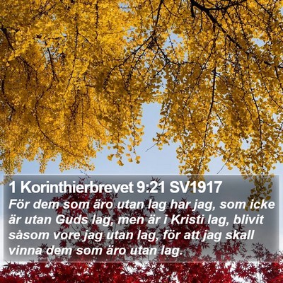 1 Korinthierbrevet 9:21 SV1917 Bible Verse Image