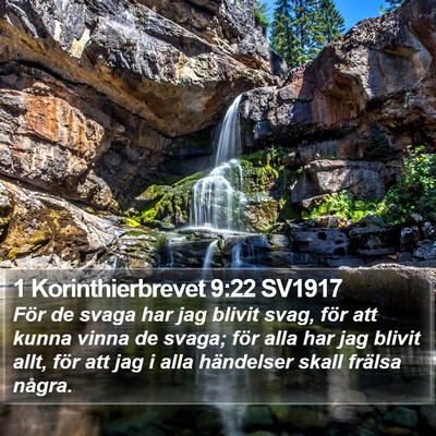1 Korinthierbrevet 9:22 SV1917 Bible Verse Image