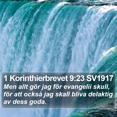 1 Korinthierbrevet 9:23 SV1917 Bible Verse Image