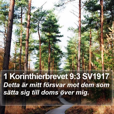 1 Korinthierbrevet 9:3 SV1917 Bible Verse Image