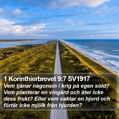 1 Korinthierbrevet 9:7 SV1917 Bible Verse Image