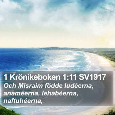 1 Krönikeboken 1:11 SV1917 Bible Verse Image