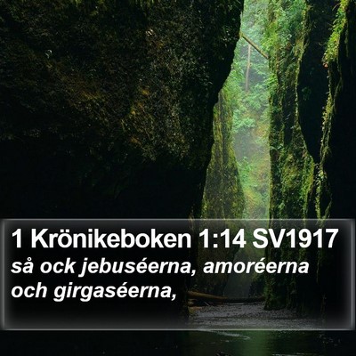 1 Krönikeboken 1:14 SV1917 Bible Verse Image