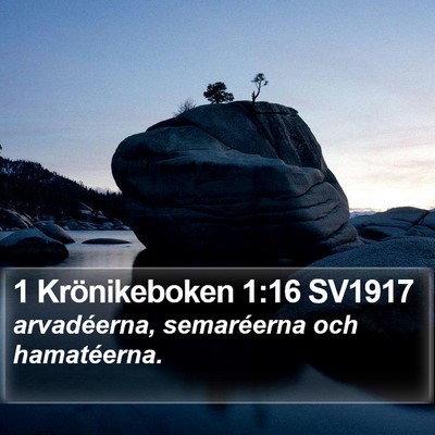 1 Krönikeboken 1:16 SV1917 Bible Verse Image