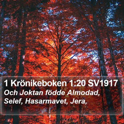 1 Krönikeboken 1:20 SV1917 Bible Verse Image