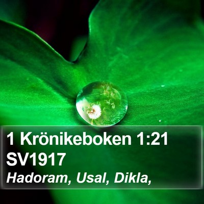1 Krönikeboken 1:21 SV1917 Bible Verse Image