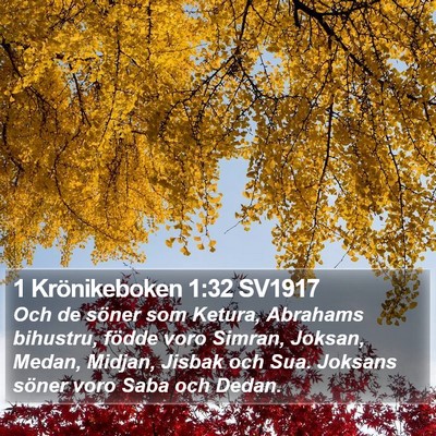 1 Krönikeboken 1:32 SV1917 Bible Verse Image