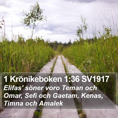 1 Krönikeboken 1:36 SV1917 Bible Verse Image