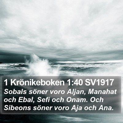 1 Krönikeboken 1:40 SV1917 Bible Verse Image