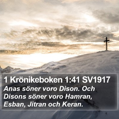 1 Krönikeboken 1:41 SV1917 Bible Verse Image