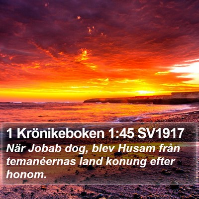 1 Krönikeboken 1:45 SV1917 Bible Verse Image