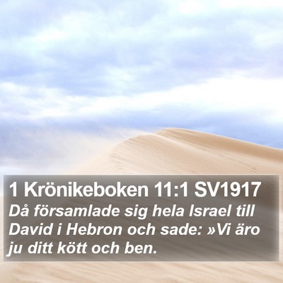 1 Krönikeboken 11:1 SV1917 Bible Verse Image