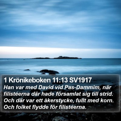 1 Krönikeboken 11:13 SV1917 Bible Verse Image