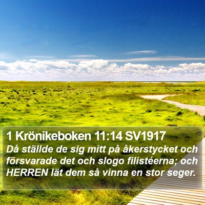 1 Krönikeboken 11:14 SV1917 Bible Verse Image