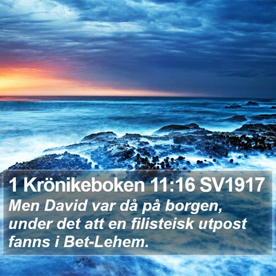 1 Krönikeboken 11:16 SV1917 Bible Verse Image